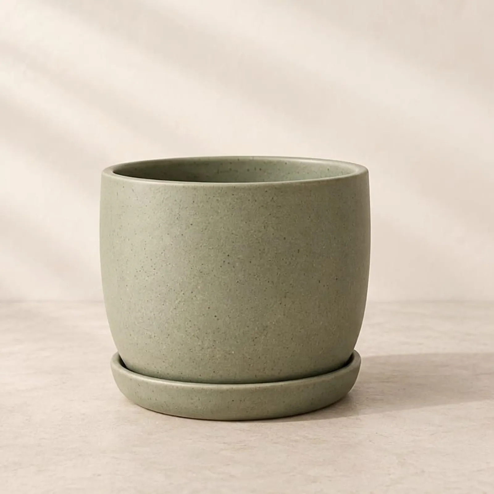 Pot Mossa - miniature 1