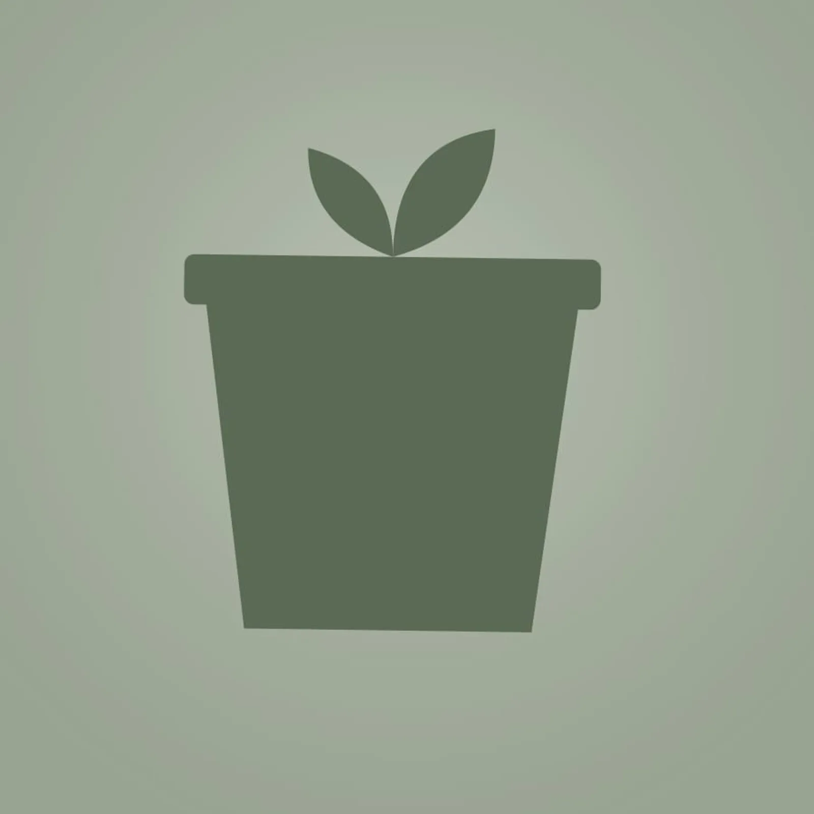 Kruka Viken Salvia