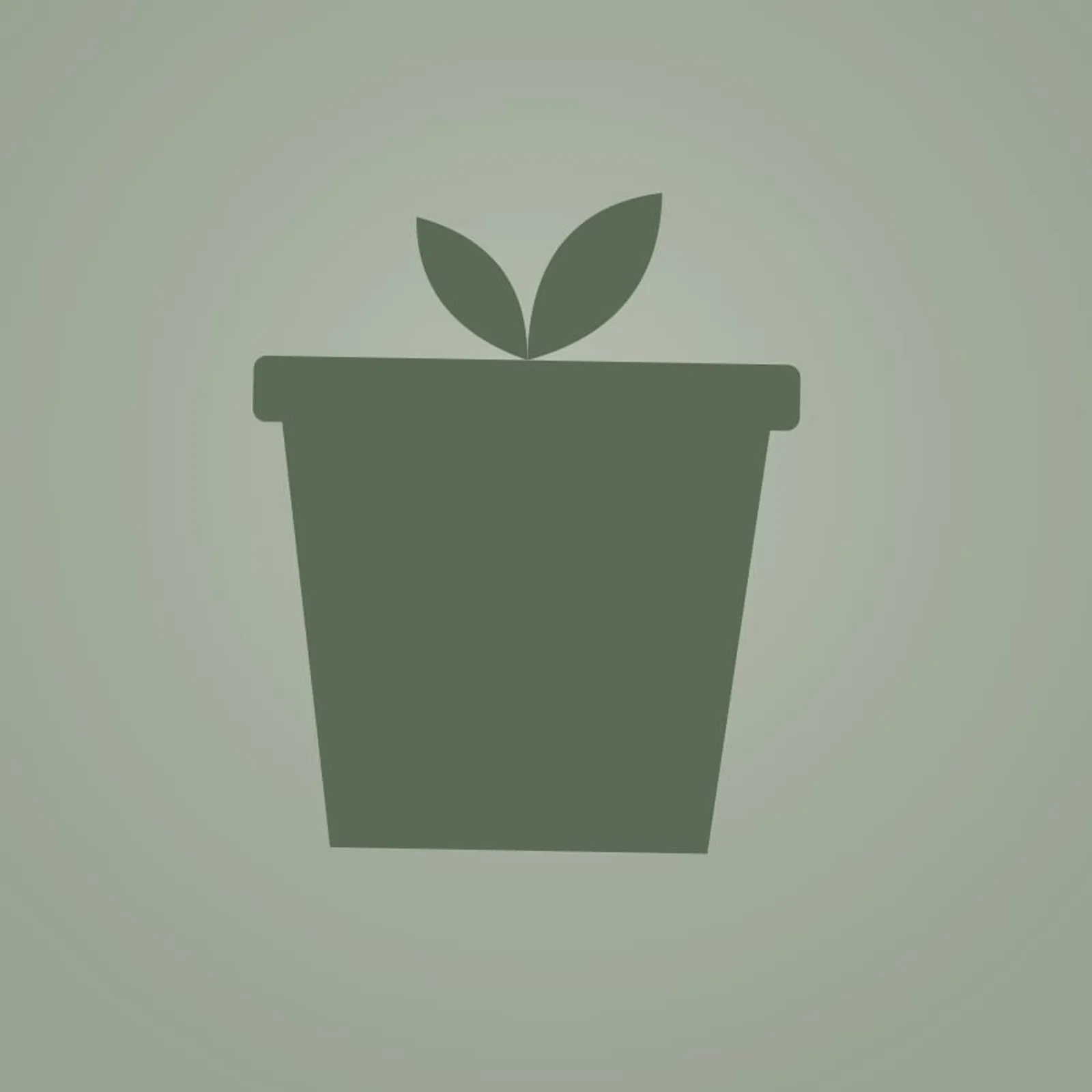 Kruka Lind Salvia