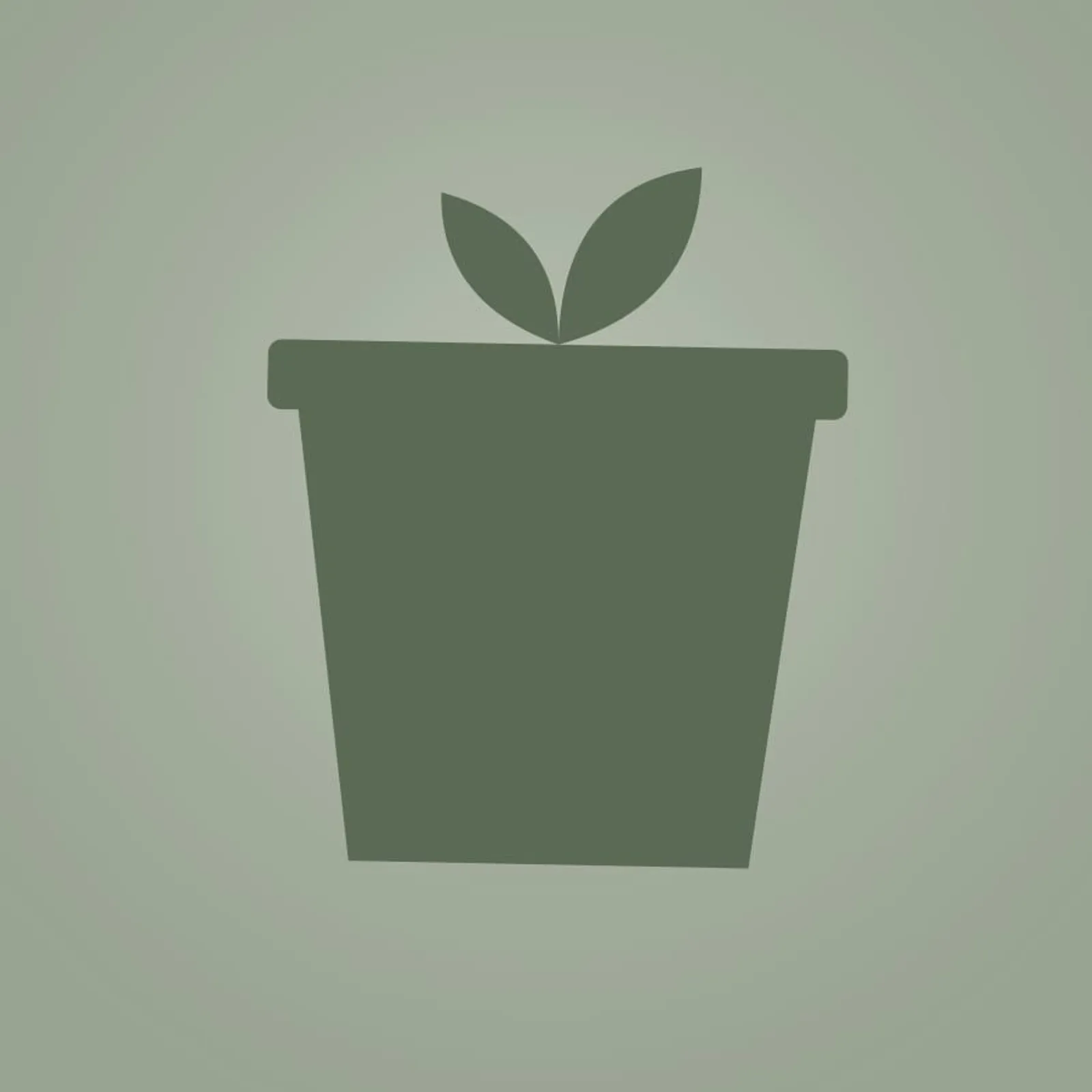 Kruka Fors Salvia