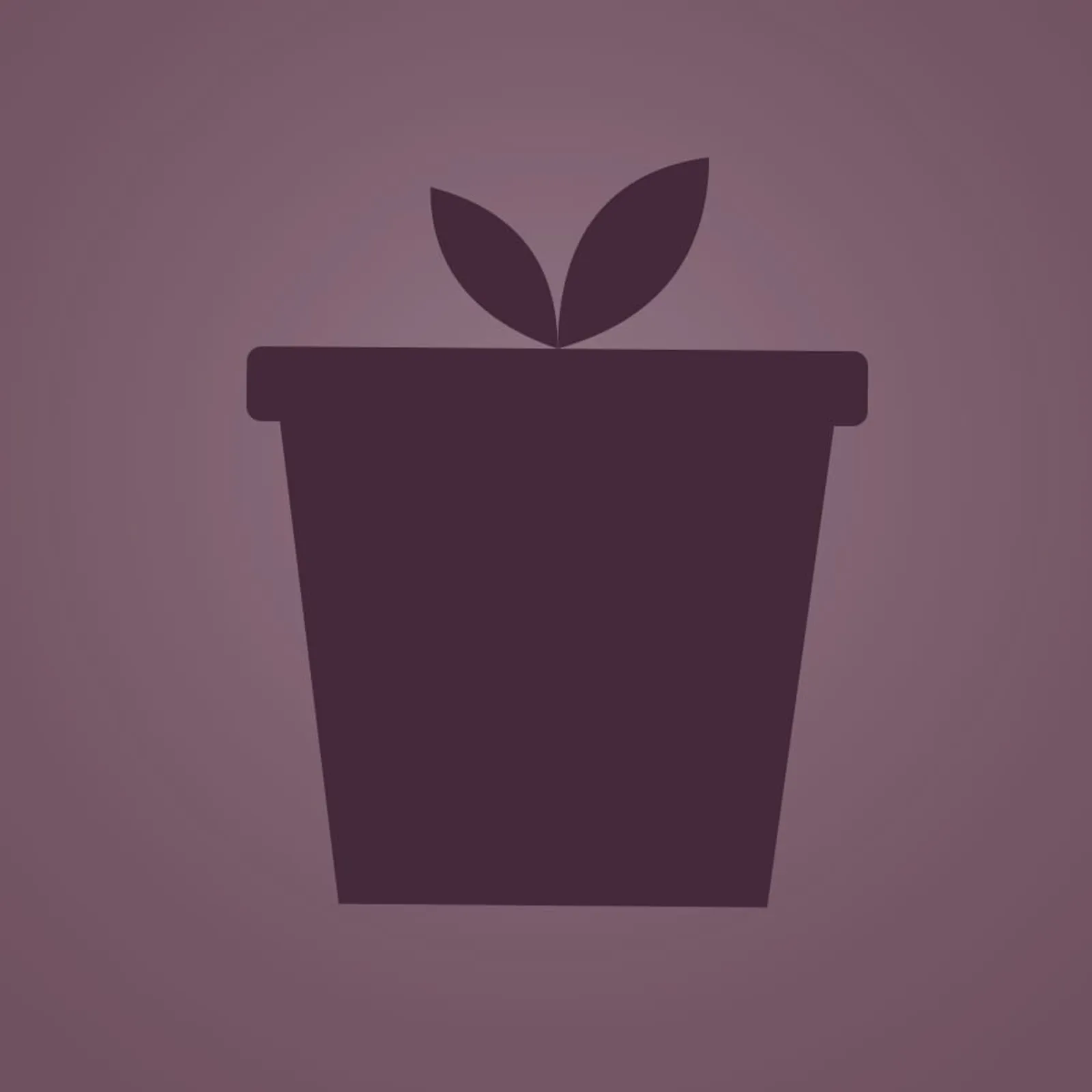 Kruka Lin - bild 1
