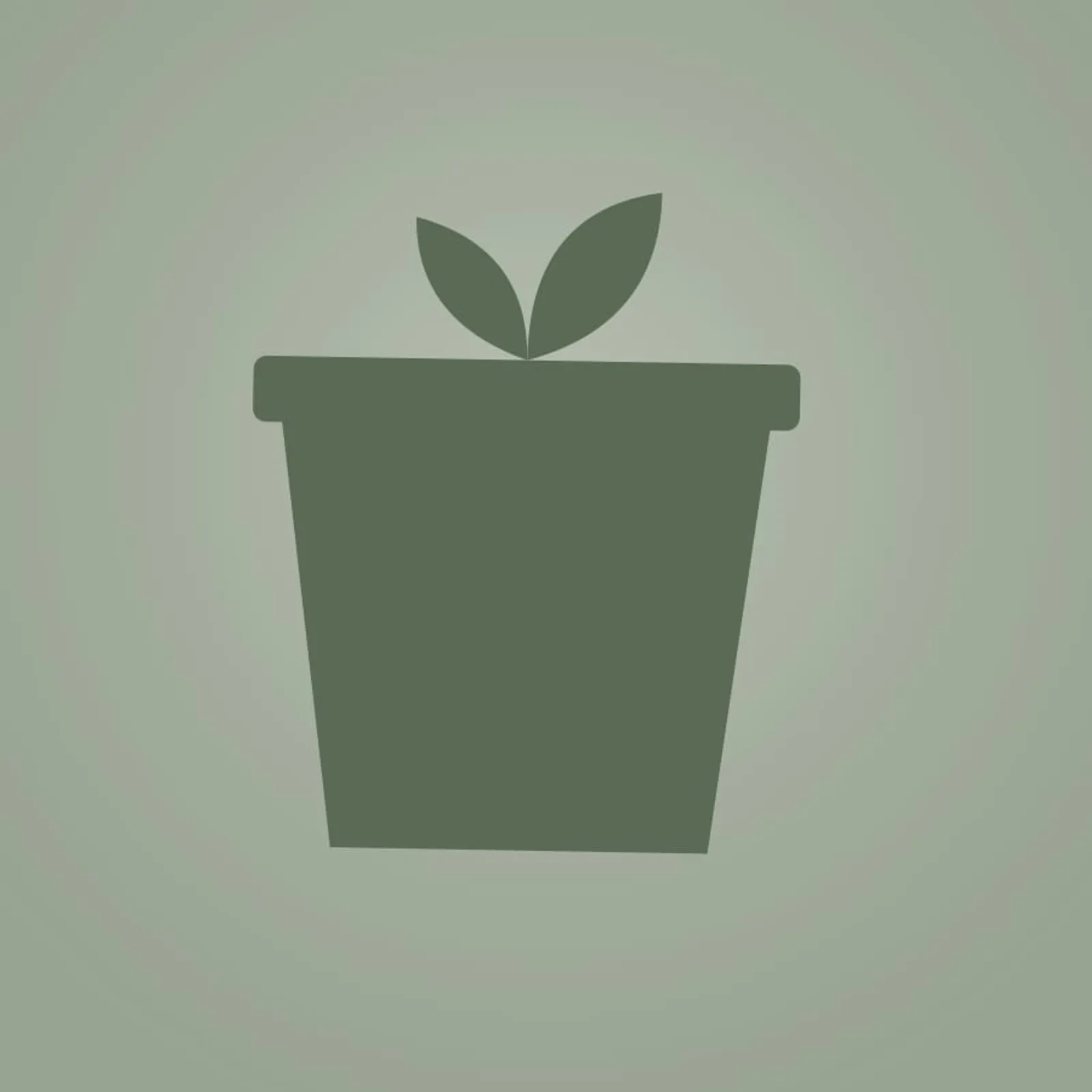 Kruka Lind Salvia - bild 1