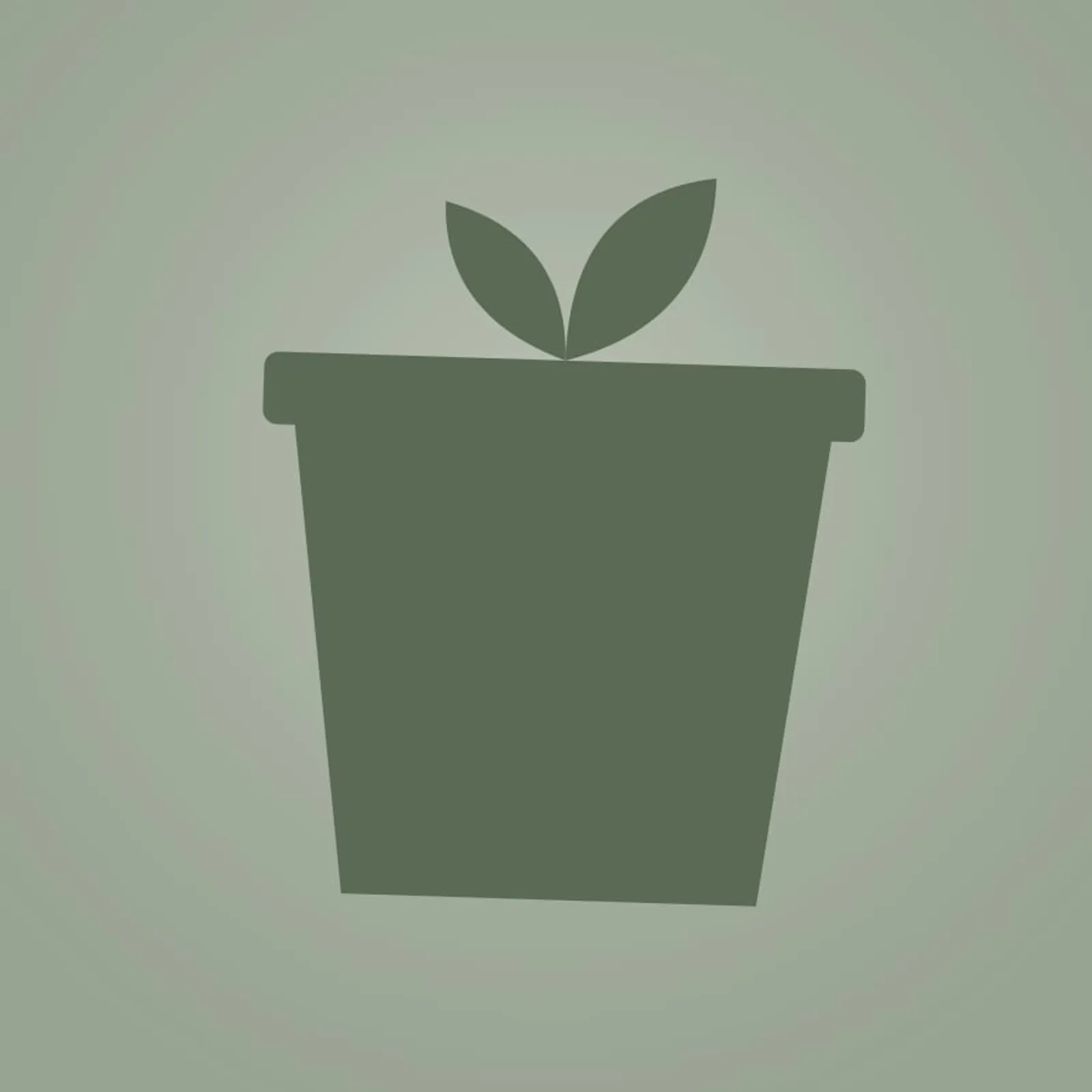 Kruka Havre Salvia - bild 1