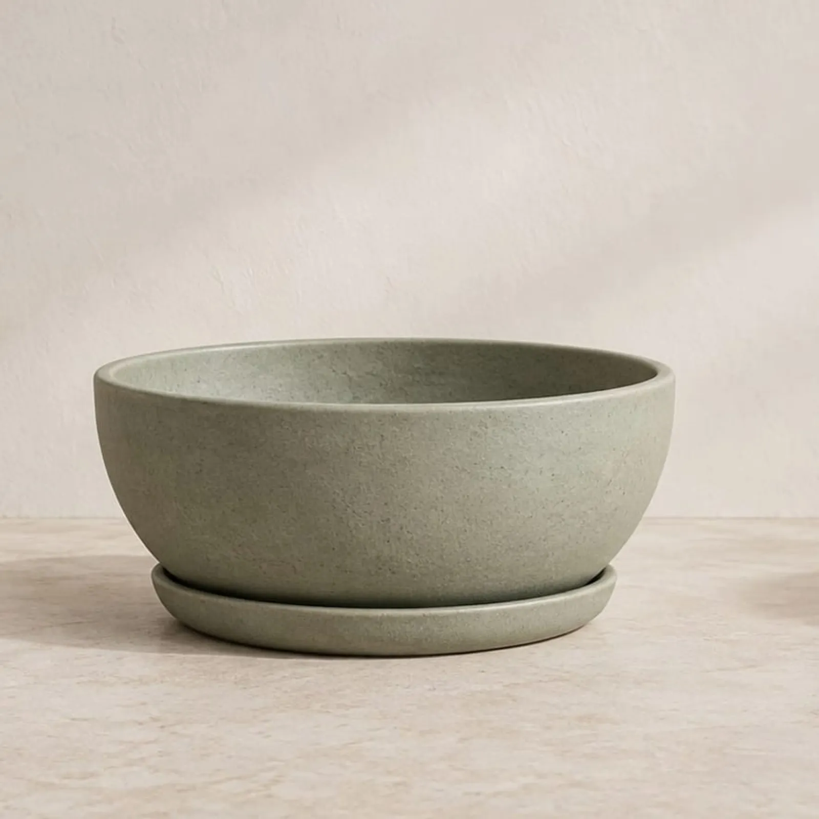 Kruka Lin Salvia - bild 1