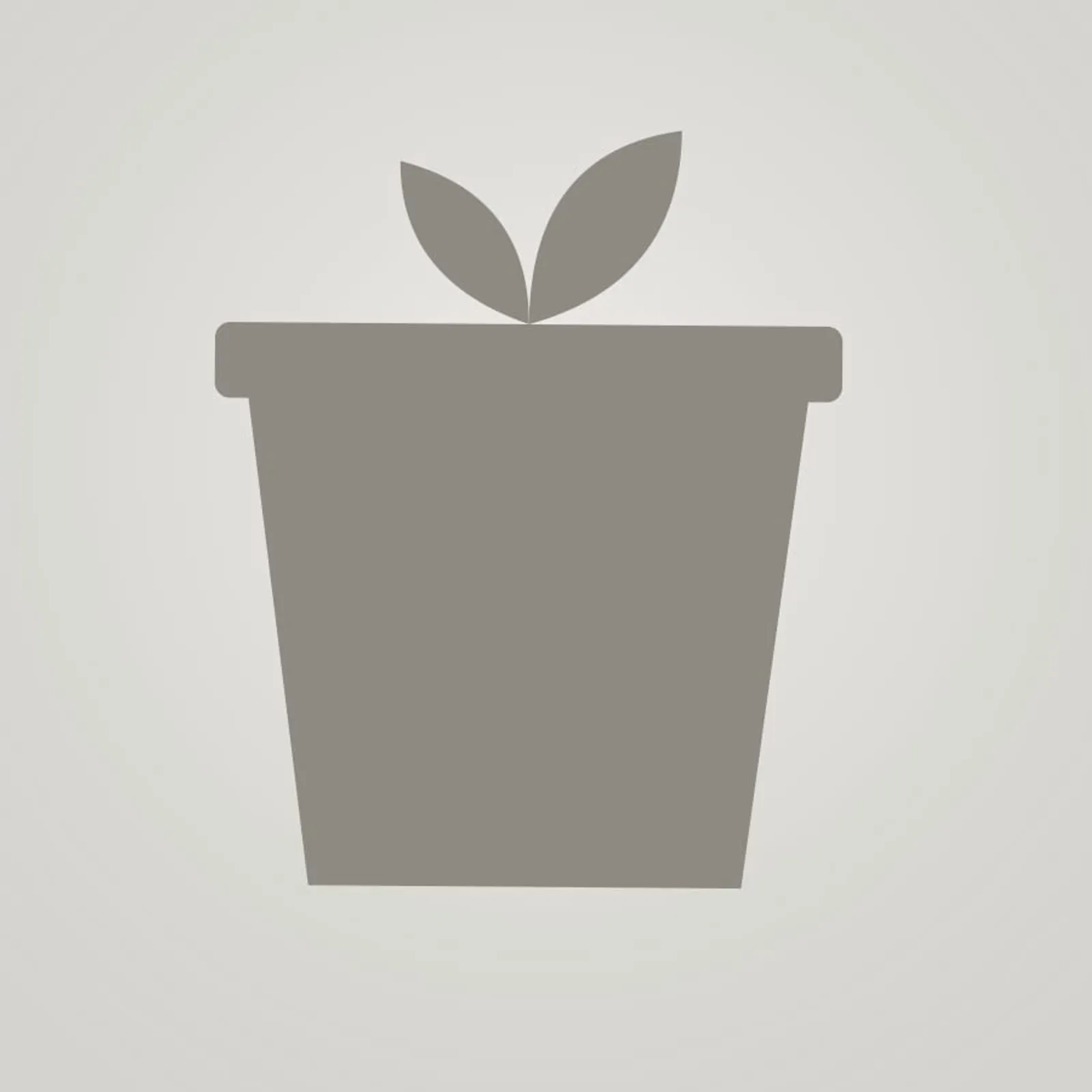 Kruka Slån Kritvit - bild 1