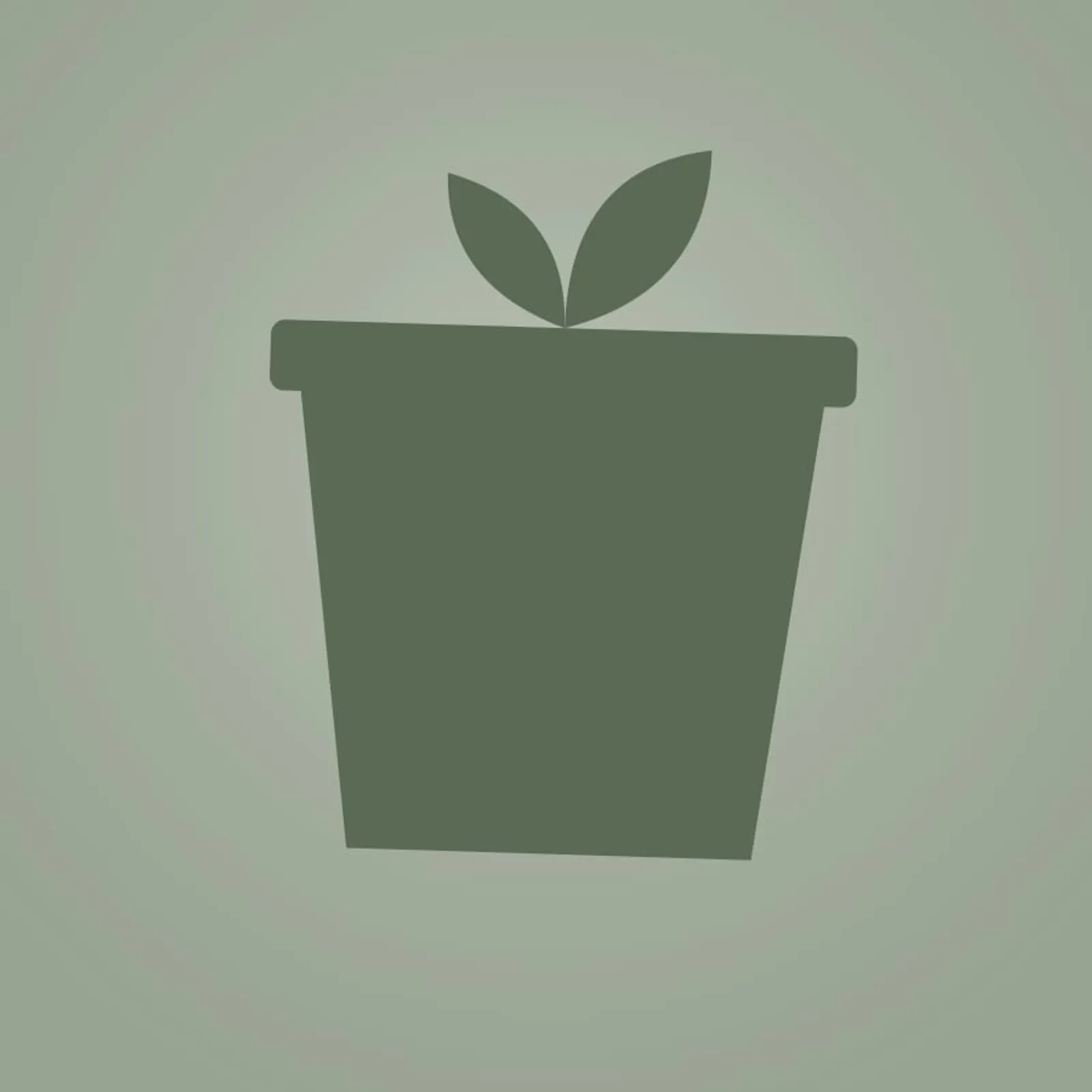 Kruka Salvia - bild 1