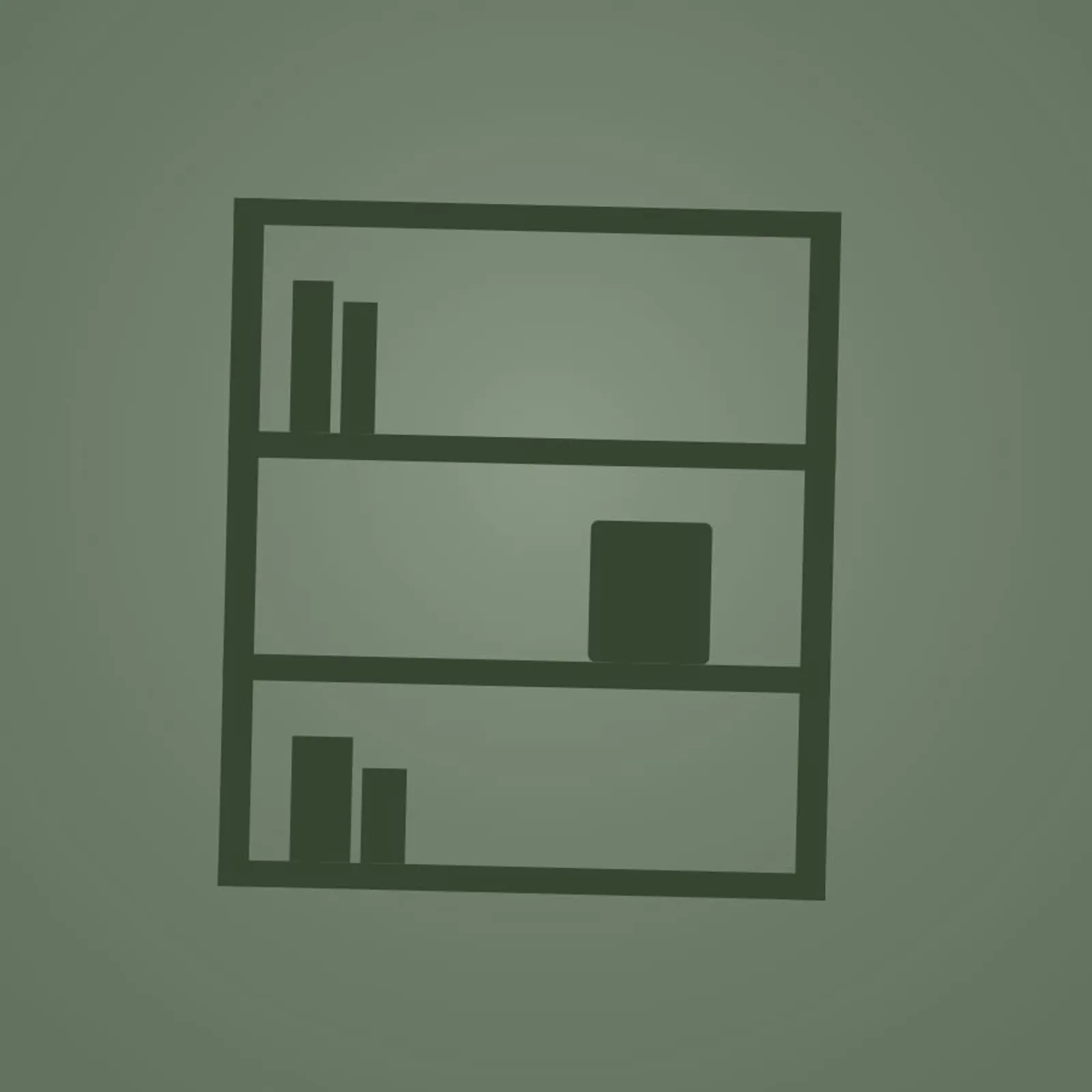 Bokhylla Havre Stål - bild 1
