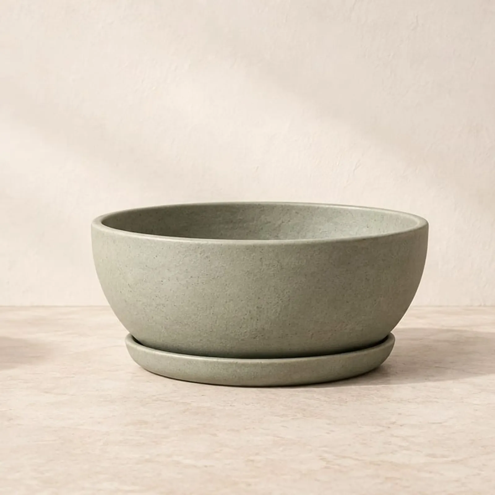 Kruka Lind Salvia II - bild 1