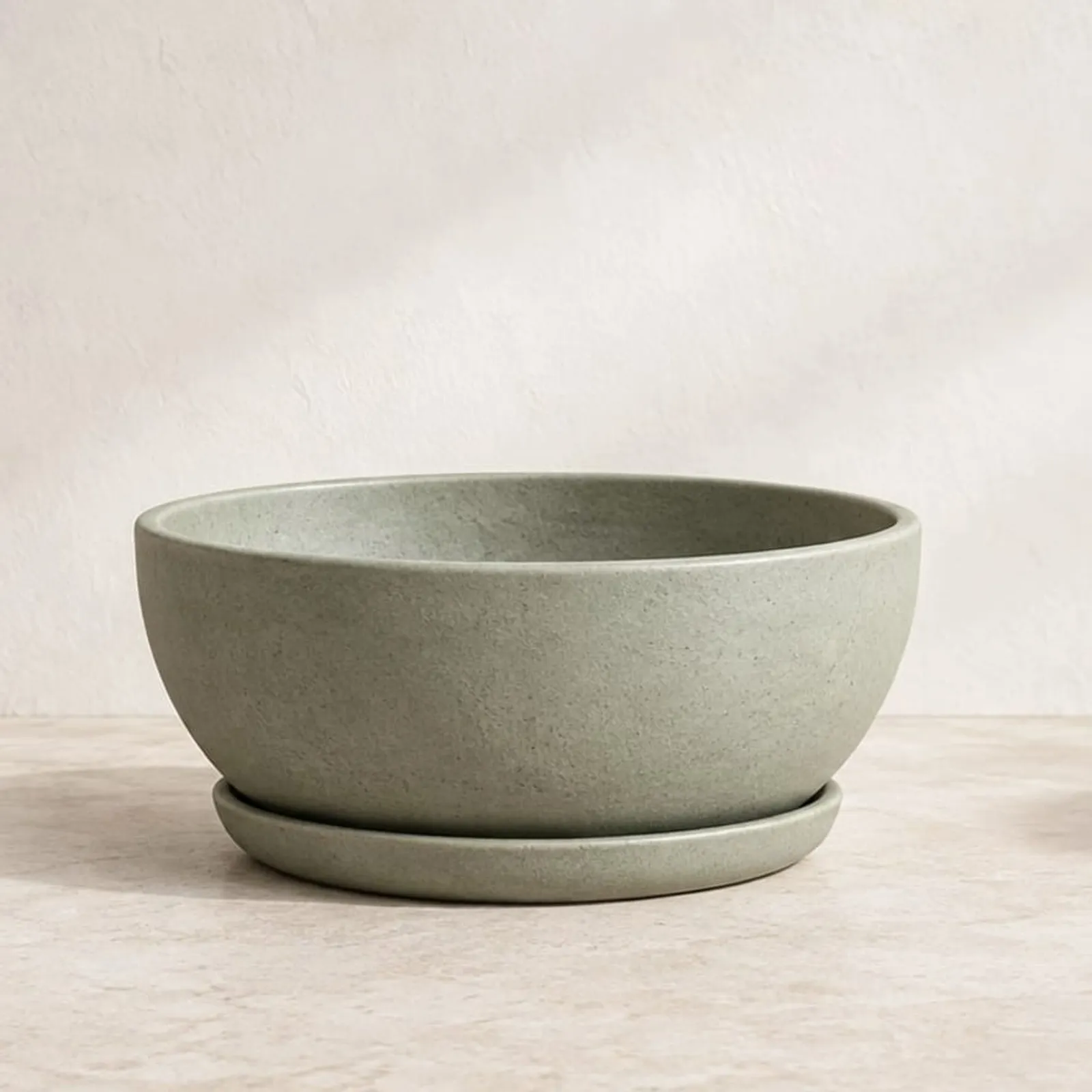 Kruka Fläder Salvia - bild 1