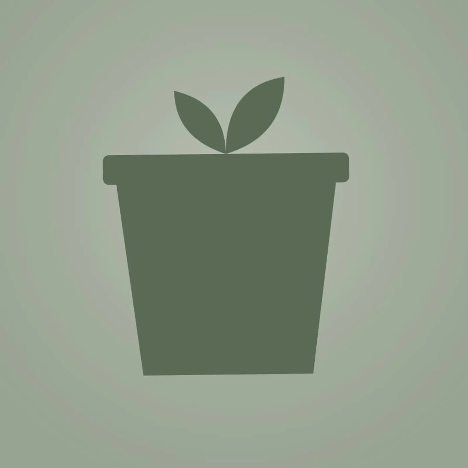 Kruka Ull Salvia - bild 1