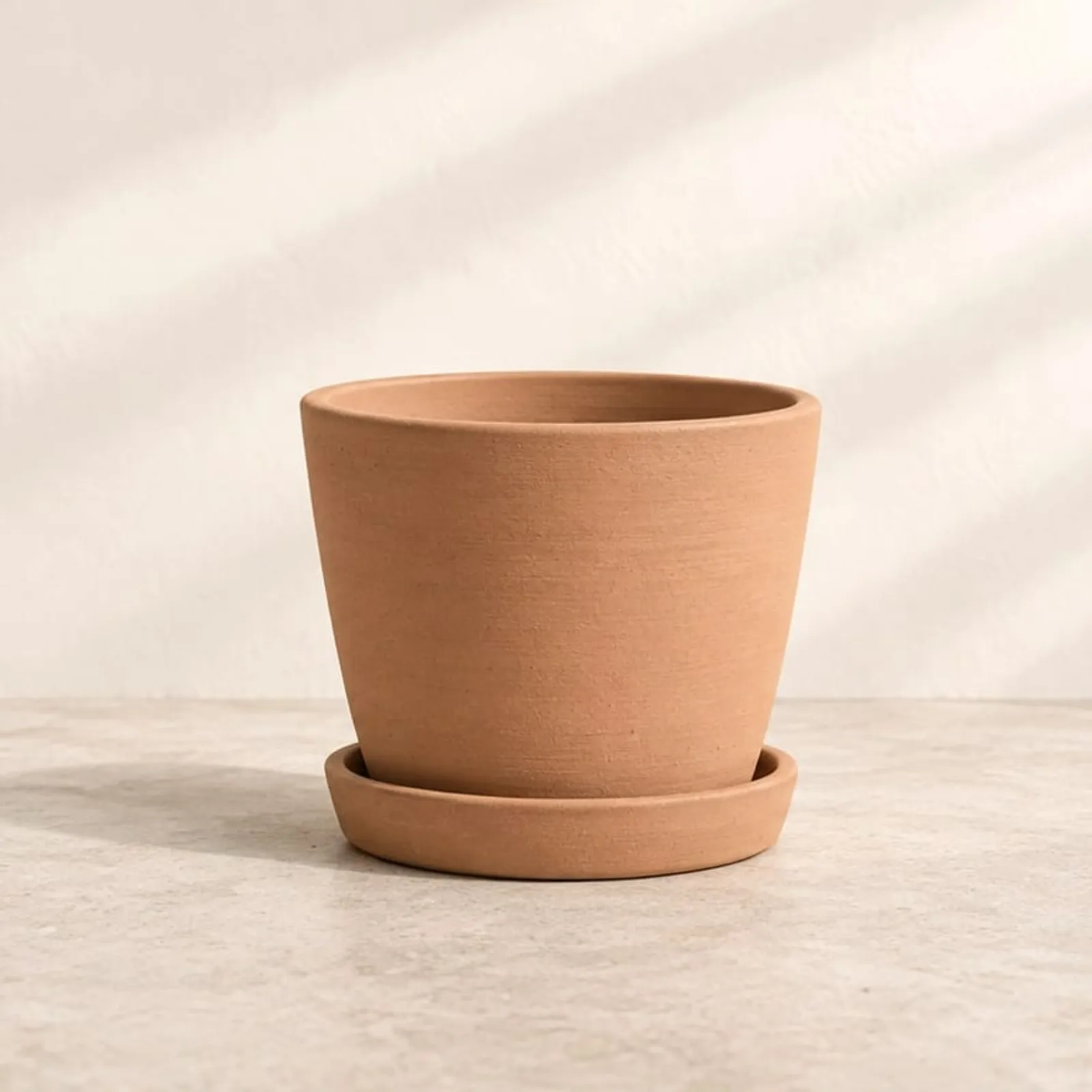 Pot Timjan en céramique - image 1